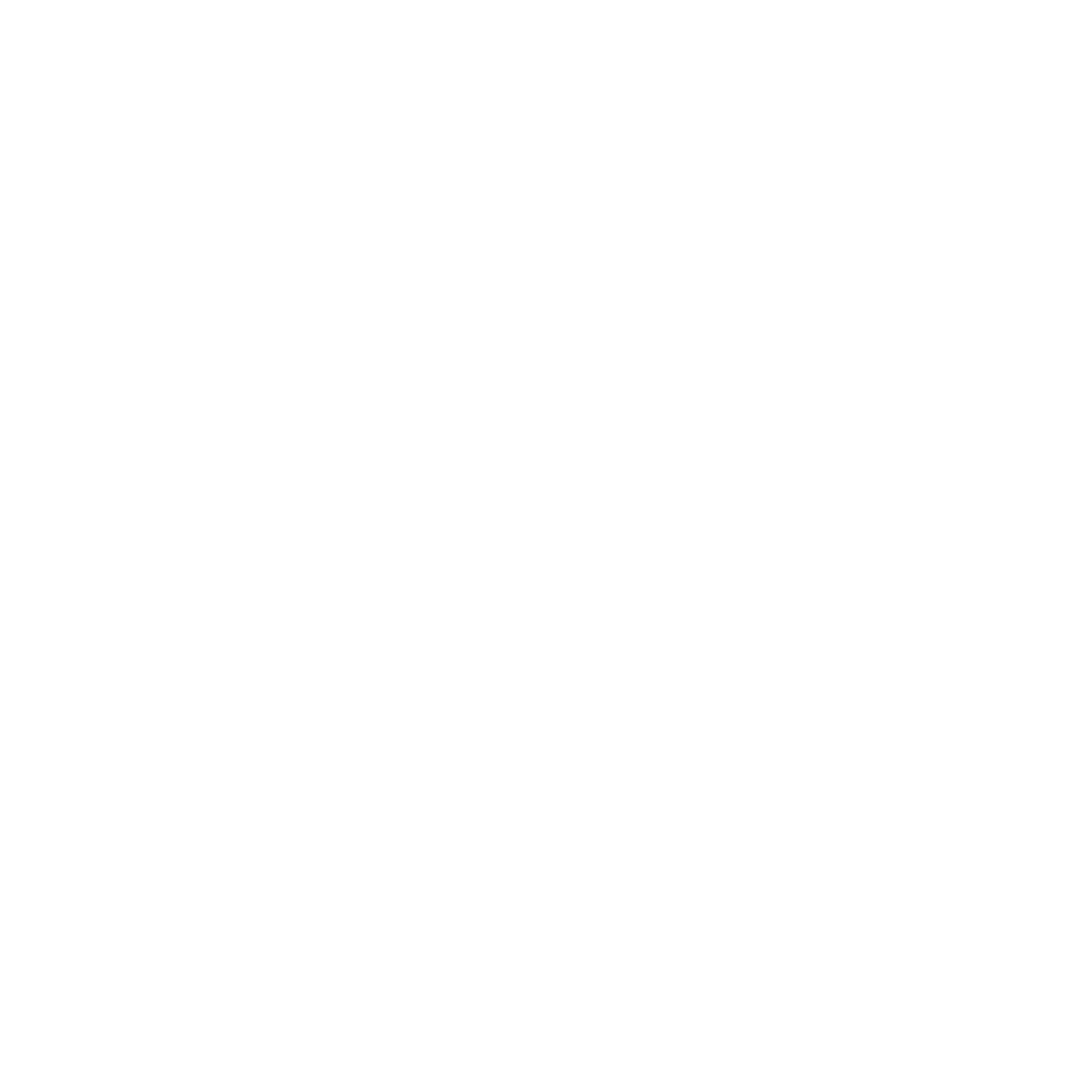 Logo Partner